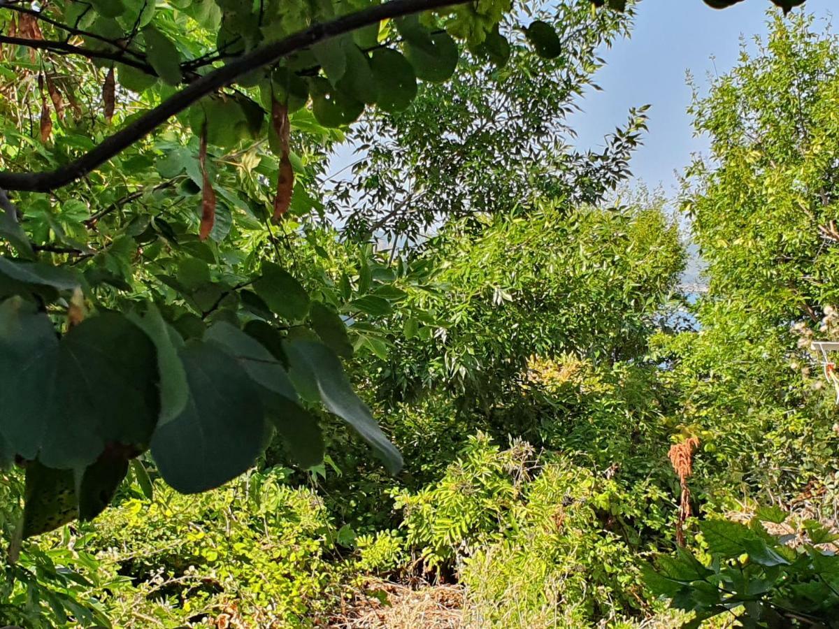 Treti Mart North Διαμέρισμα Πριμόρσκο Εξωτερικό φωτογραφία